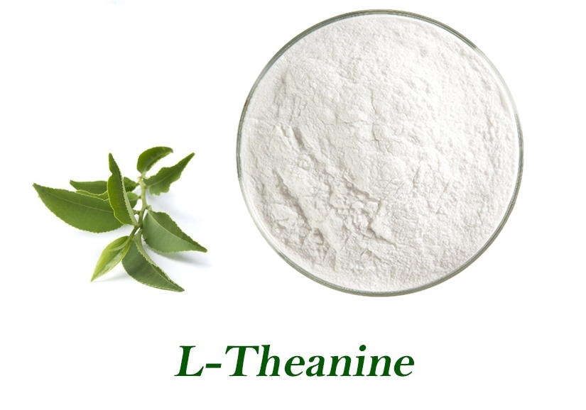 L-Theanine powder L-Theanine powder
